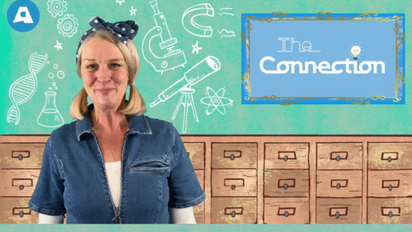 The Connection